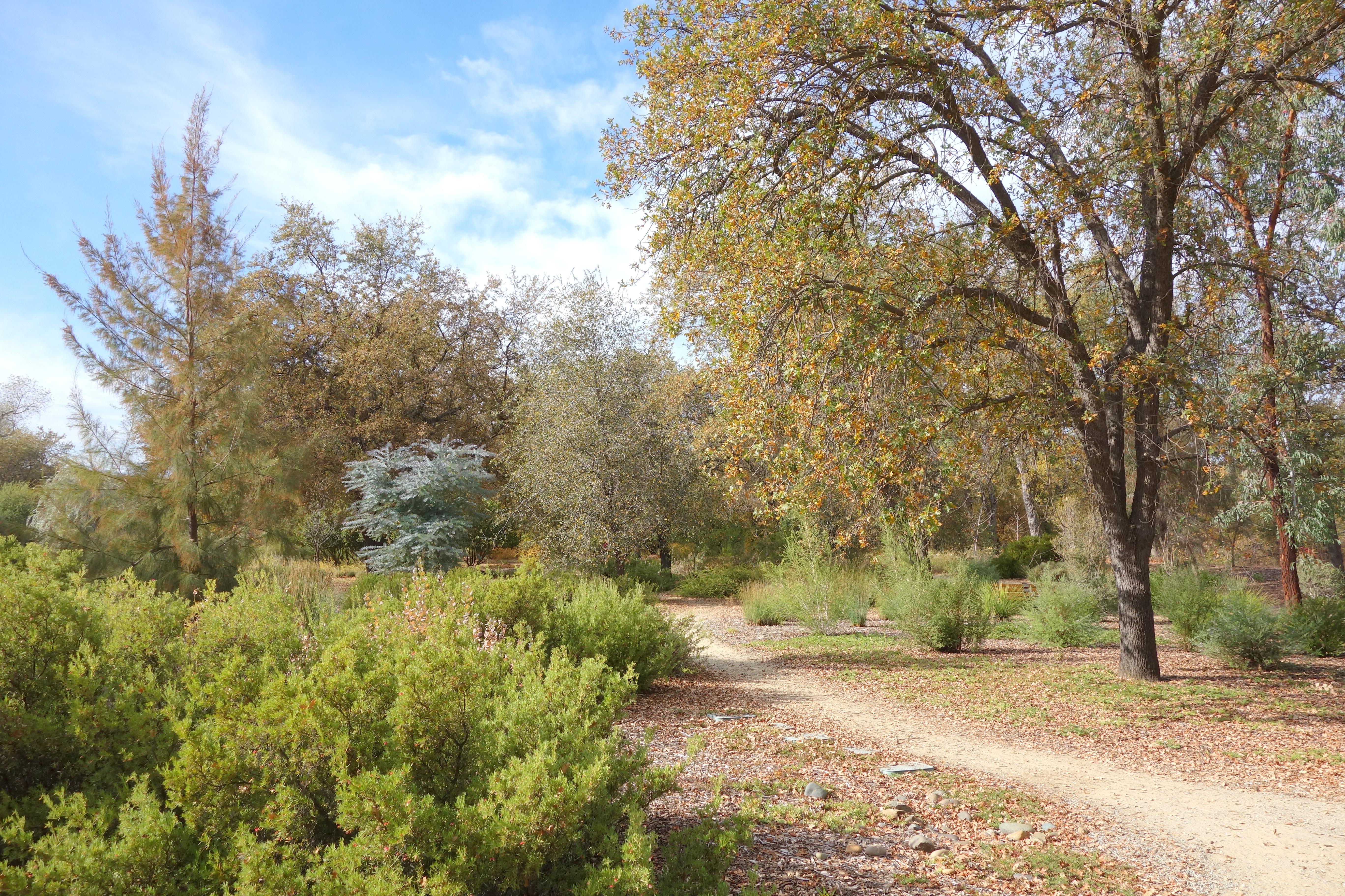 McConnell Arboretum & Botanical Gardens
